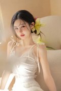 《中国规律处分条例》《中华人平易近国监察法