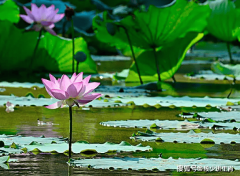 <b>只要正在立异求变中</b>